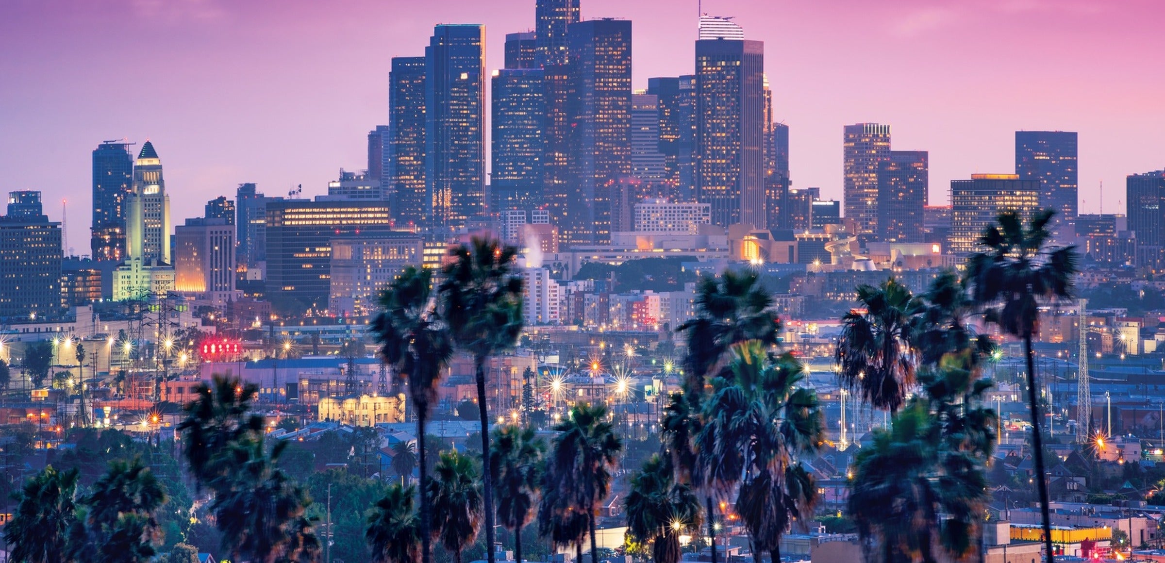 Pink Wall Art collection hero - LA Palm Tree Sunset