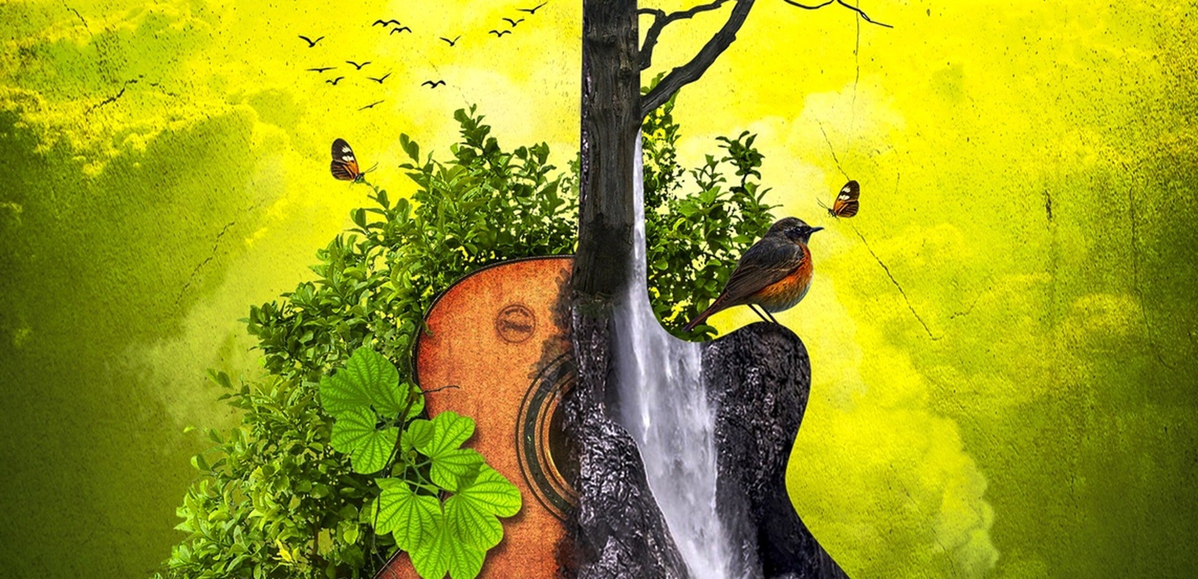 INDOARC collection hero - Nature Guitar