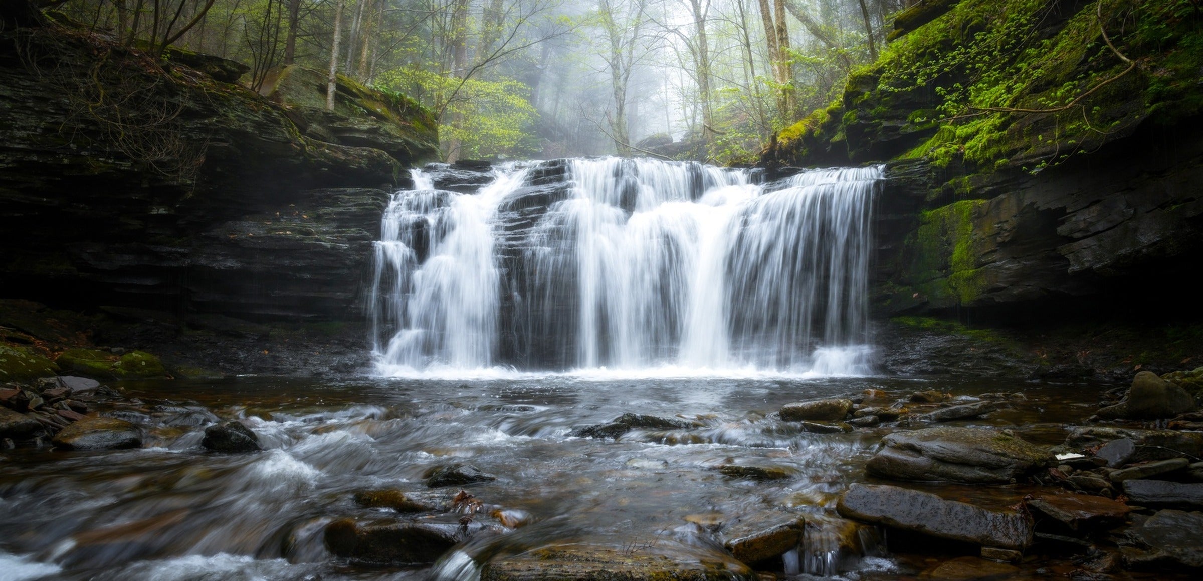 Dennis Maida collection hero - Green Serenity