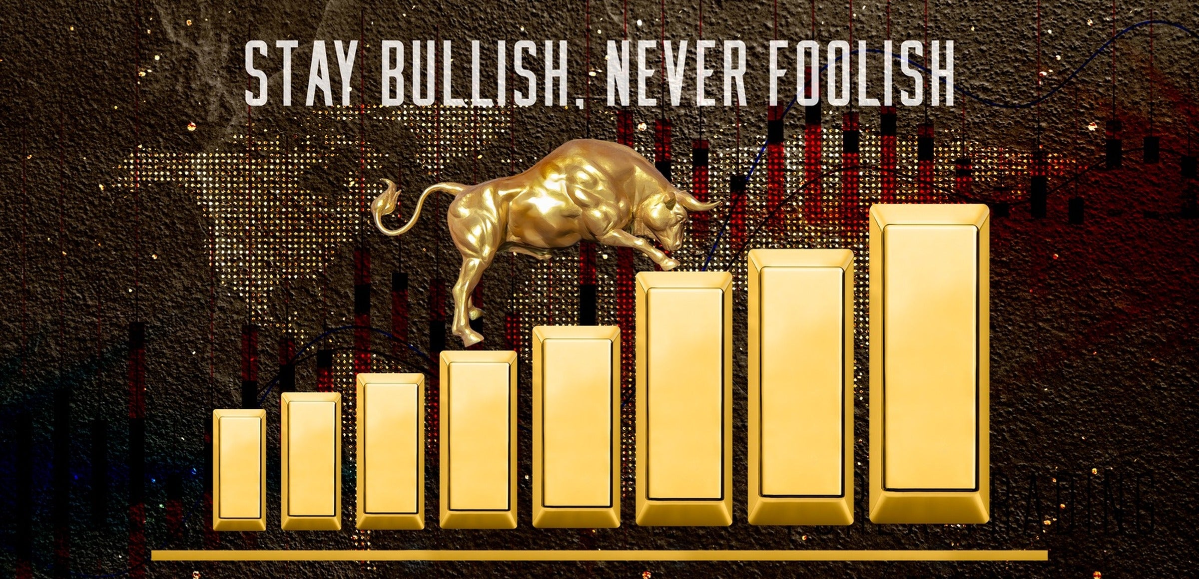 Studiodtalk collection hero - Gold Bull Design