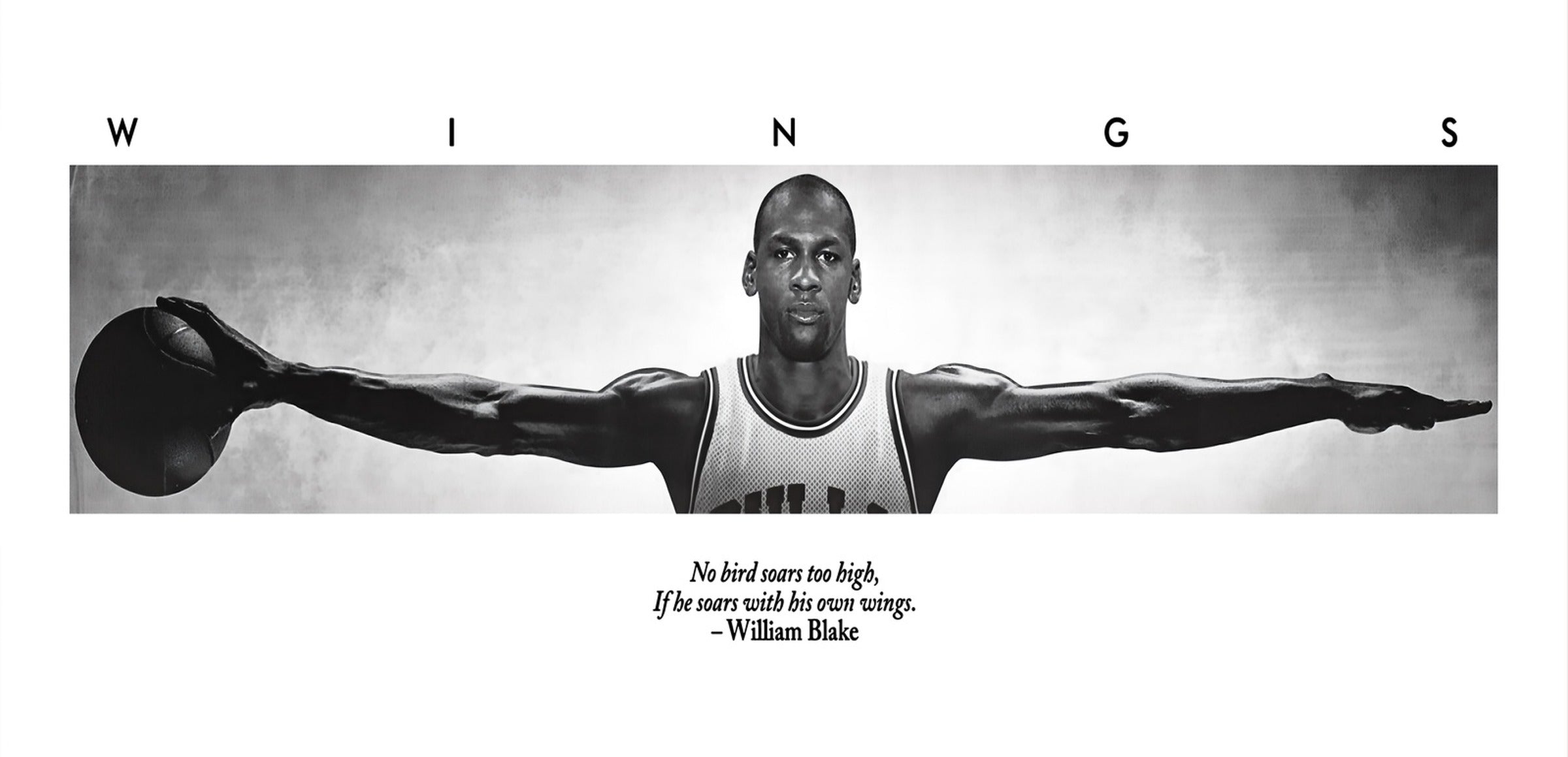 Illinois collection hero - MJ Wings