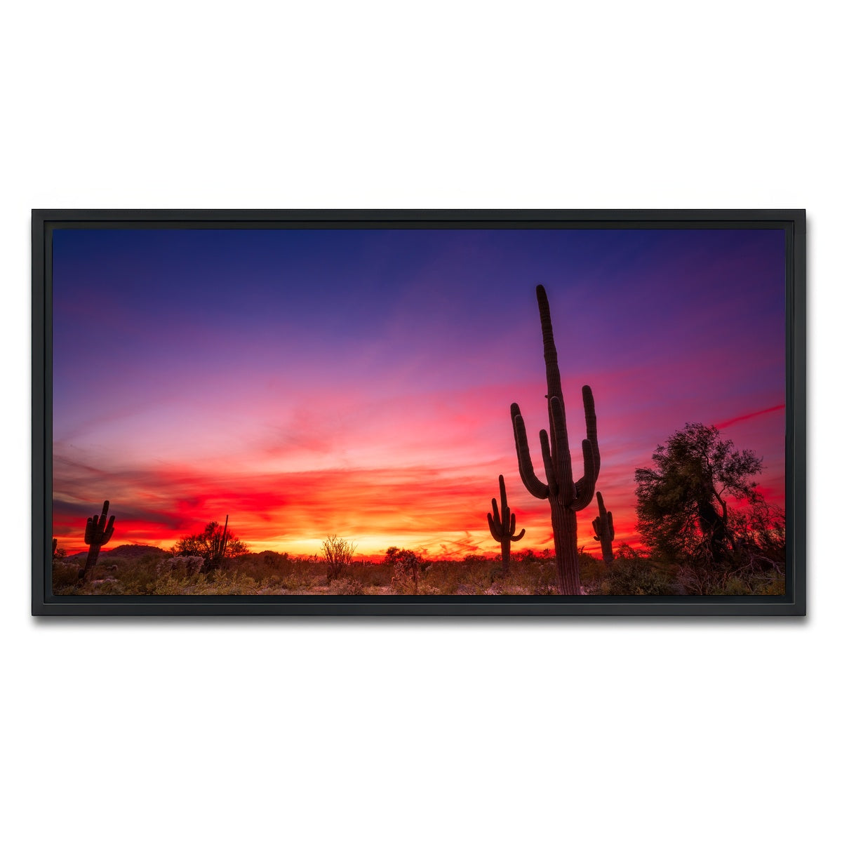 AUTO-MOCKUP WHITE | Arizona Landscape | 1 Piece | Black Framed Canvas | group=2x1