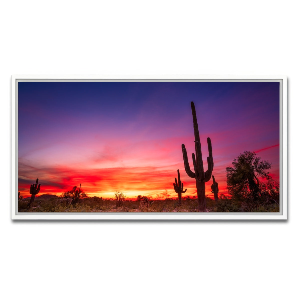 AUTO-MOCKUP WHITE | Arizona Landscape | 1 Piece | White Framed Canvas | group=2x1