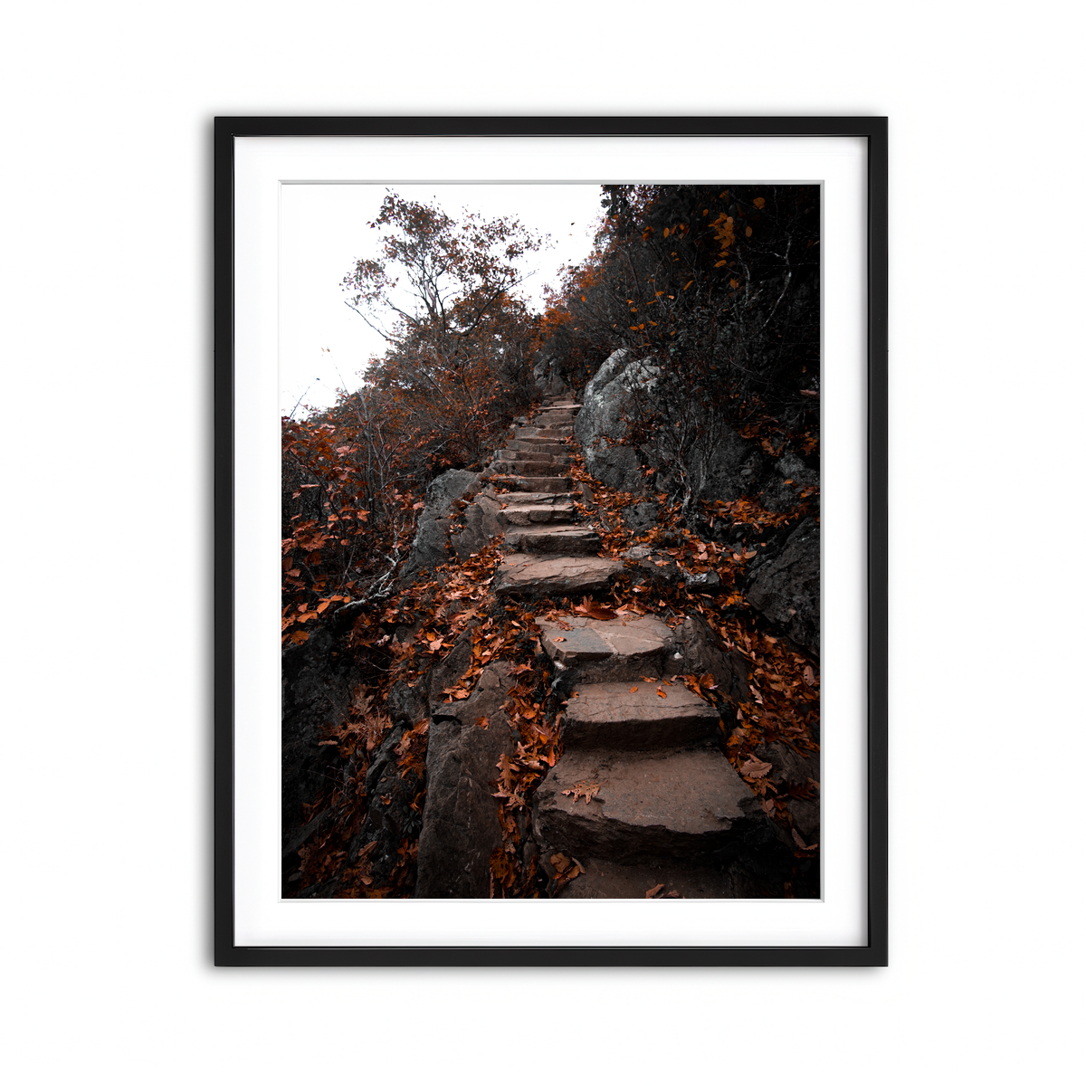 Framed Print 3x4 Black