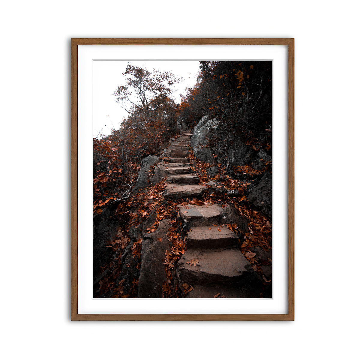 Framed Print 3x4 Walnut