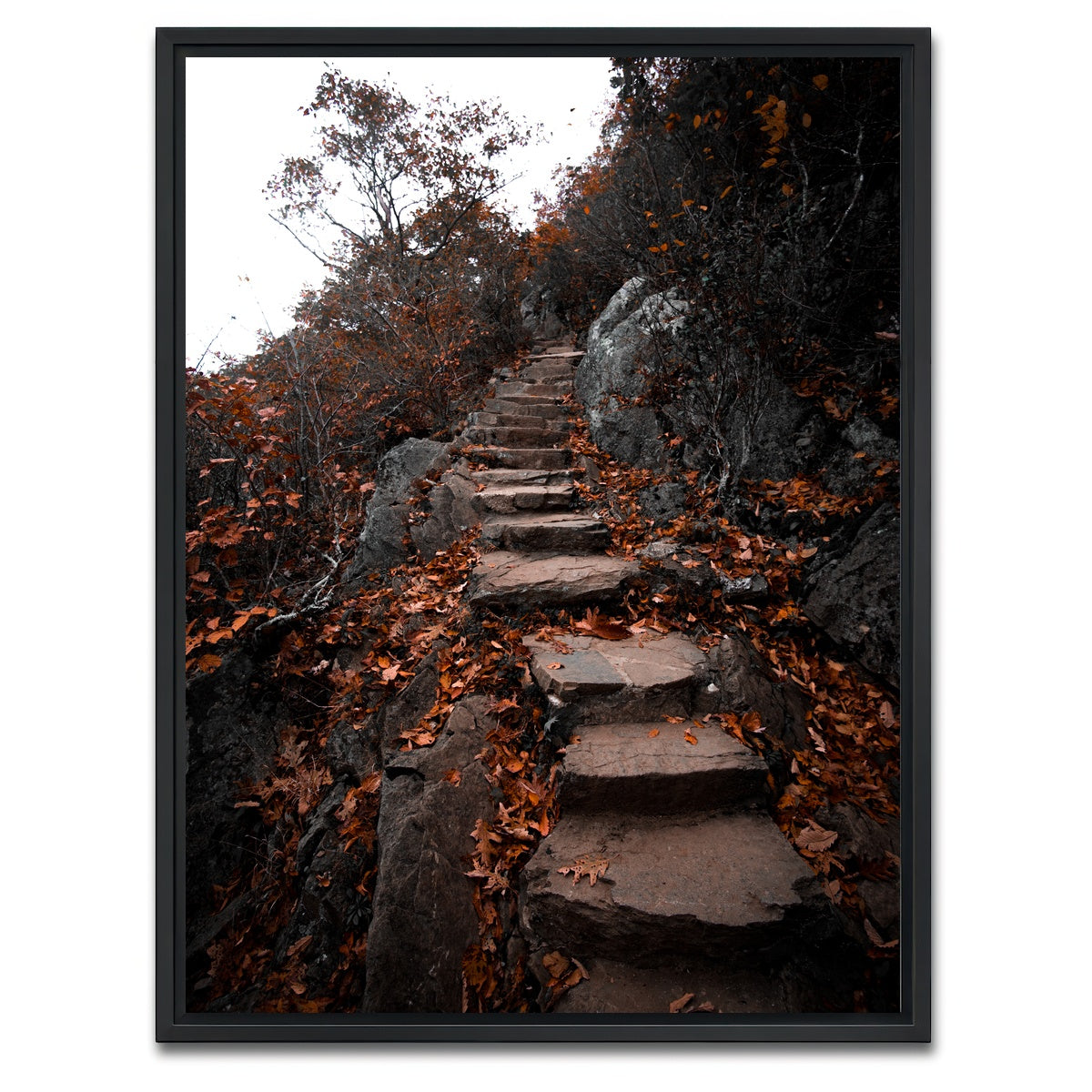 AUTO-MOCKUP WHITE | Autumn Path | 1 Piece | Black Framed Canvas | group=3x4
