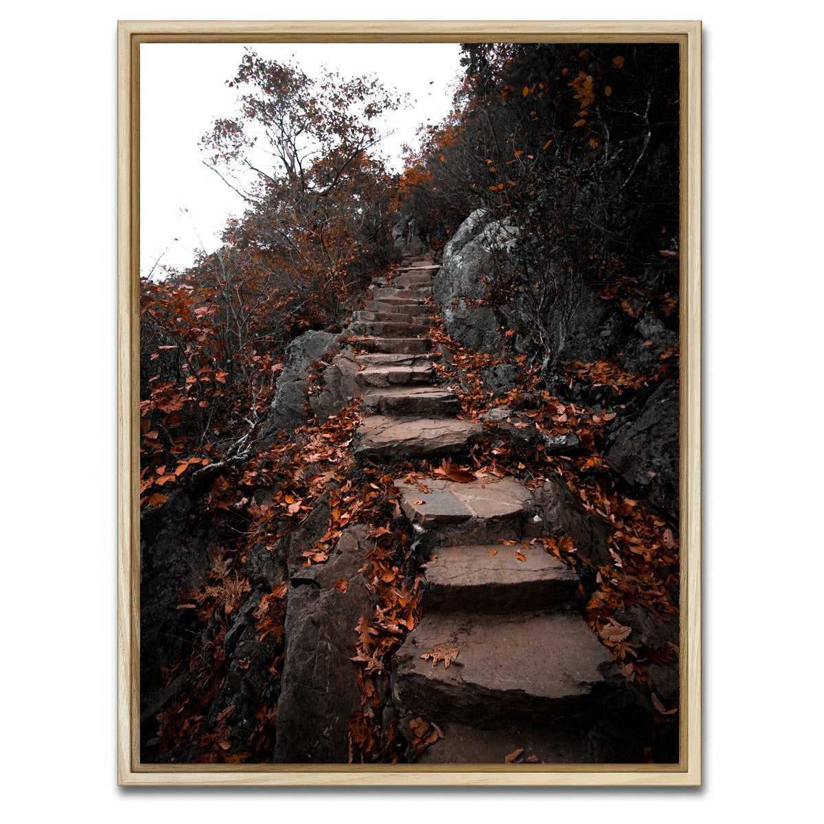 AUTO-MOCKUP WHITE | Autumn Path | 1 Piece | Natural Framed Canvas | group=3x4