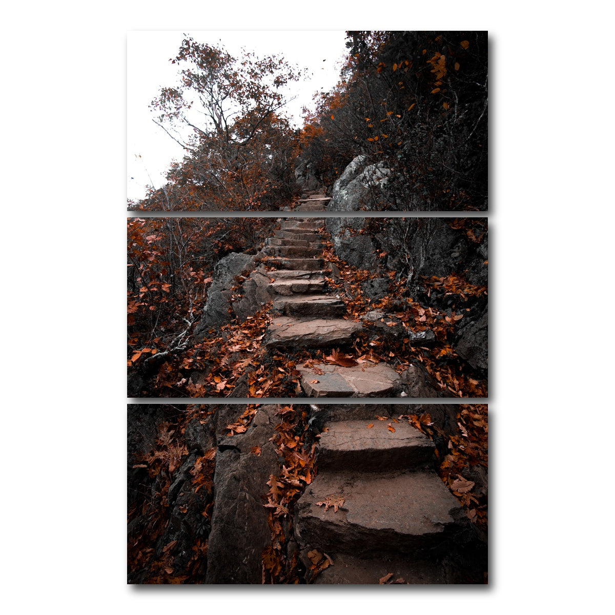 AUTO-MOCKUP WHITE | Autumn Path | 3 Piece | Gallery Wrap Canvas | group=12x24_stacked
