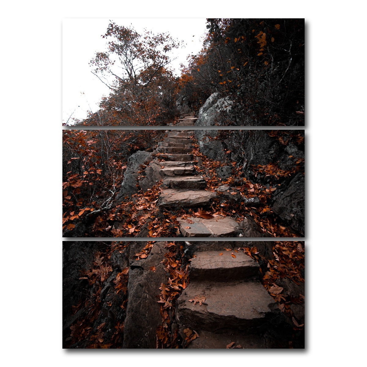 AUTO-MOCKUP WHITE | Autumn Path | 3 Piece | Gallery Wrap Canvas | group=8x18_stacked