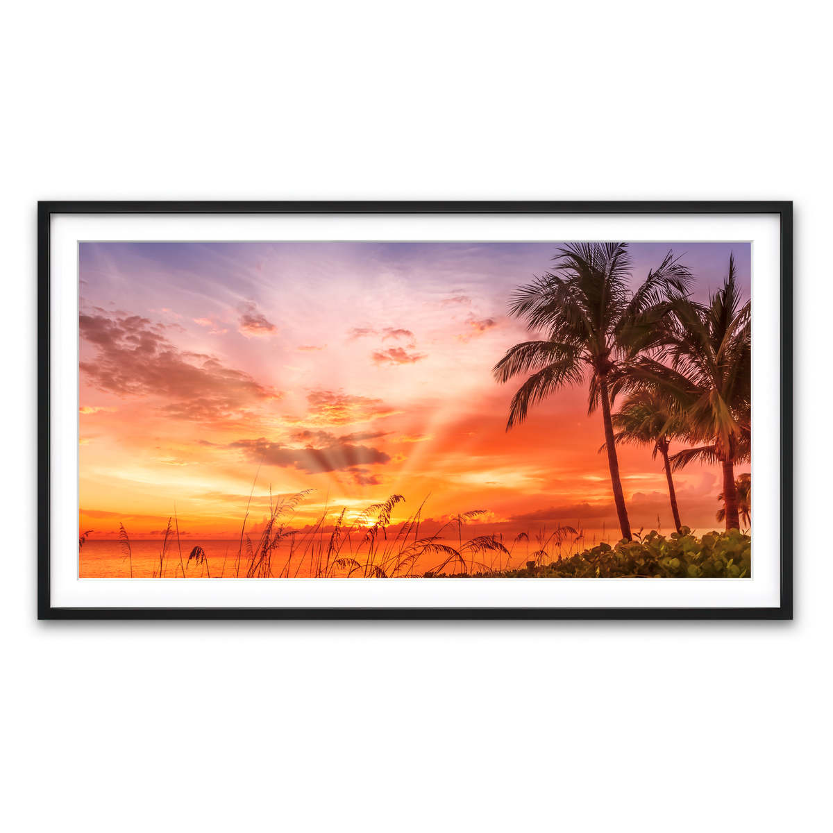 Framed Print 2x1 Black