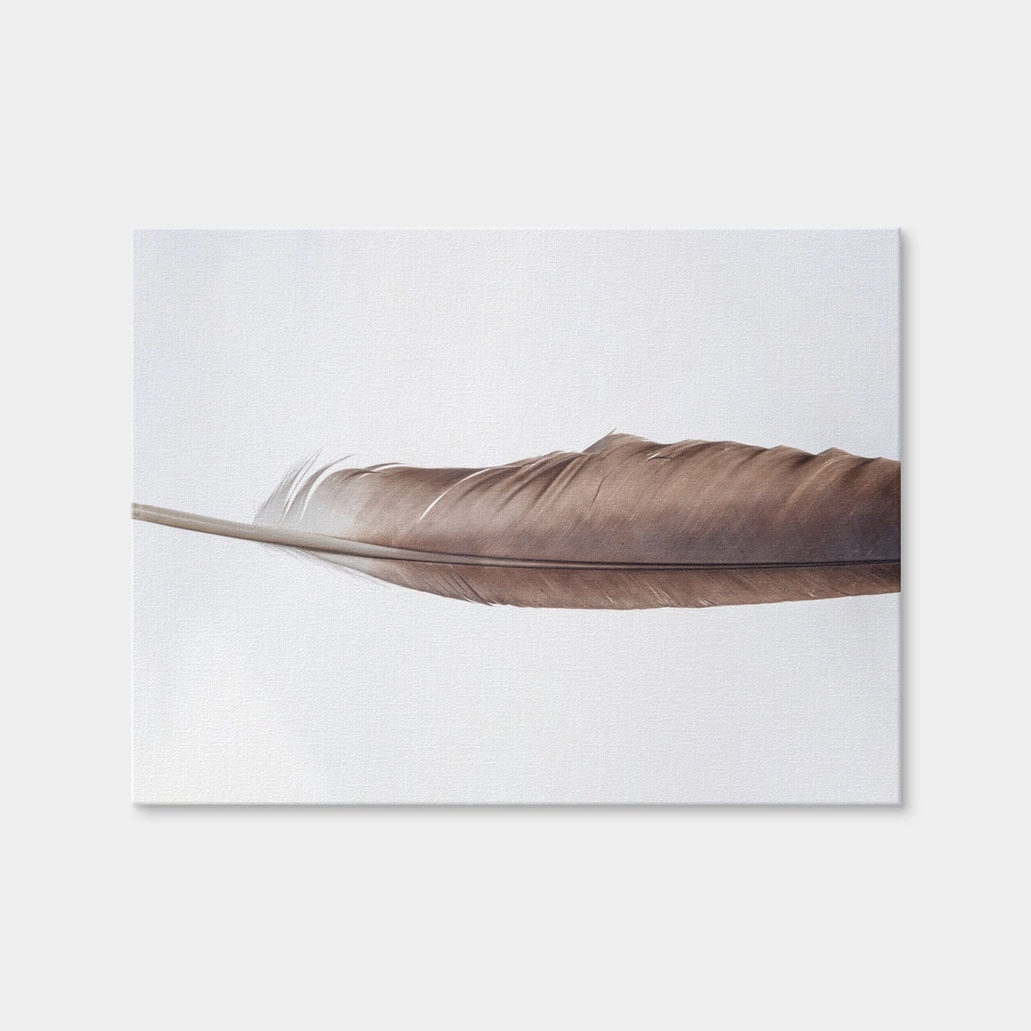 AUTO-MOCKUP WHITE | Bald Eagle Feather | 1 Piece | Gallery Wrap Canvas | group=4x3