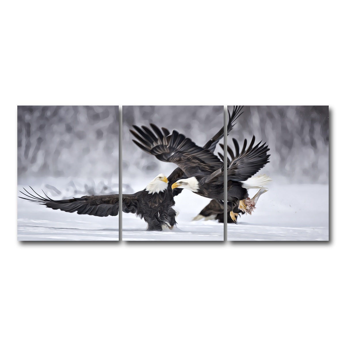 AUTO-MOCKUP WHITE | Bald Eagles | 3 Piece | Gallery Wrap Canvas | group=18x24