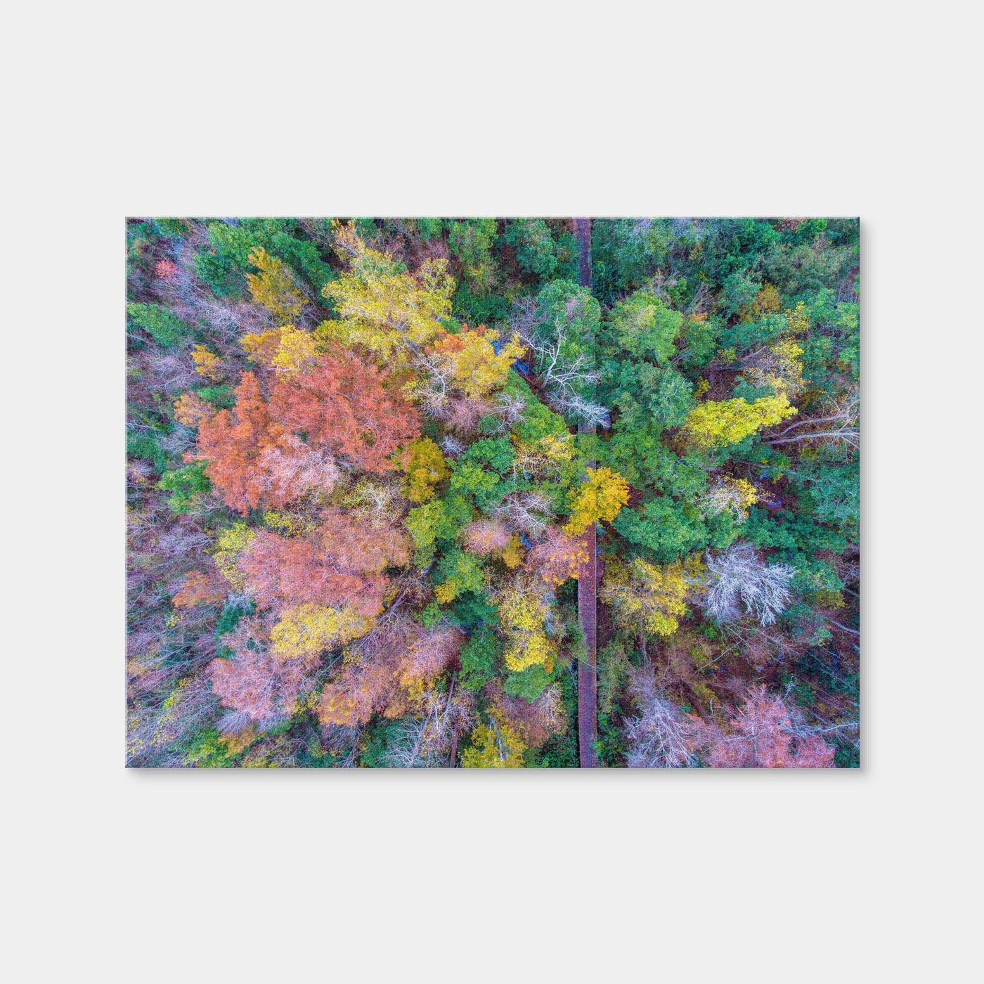 AUTO-MOCKUP WHITE | Bayfront Park Nature Boardwalk From Above | 1 Piece | Gallery Wrap Canvas | group=4x3
