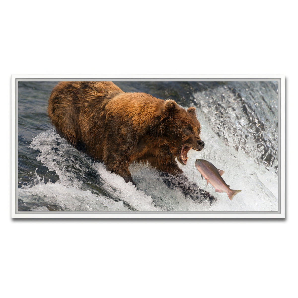 AUTO-MOCKUP WHITE | Bear catching Salmon | 1 Piece | White Framed Canvas | group=2x1
