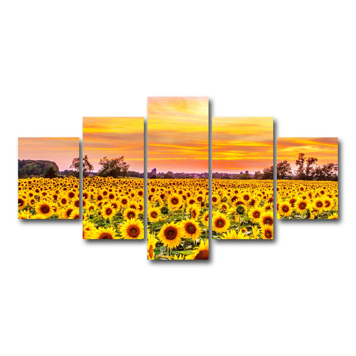 AUTO-MOCKUP WHITE | Bed of Sunflowers | 5 Piece | Gallery Wrap Canvas | group=5_short