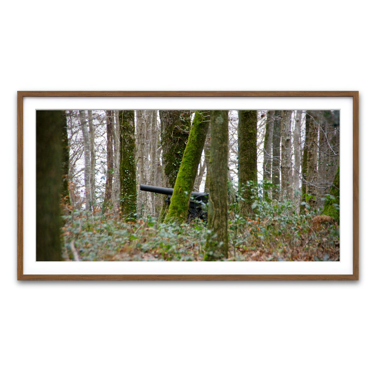 Framed Print 2x1 Walnut