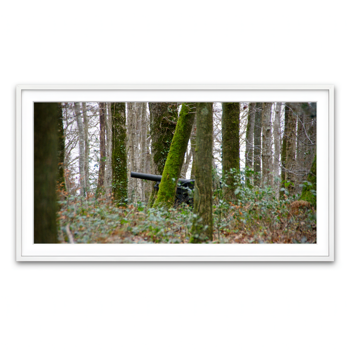 Framed Print 2x1 White