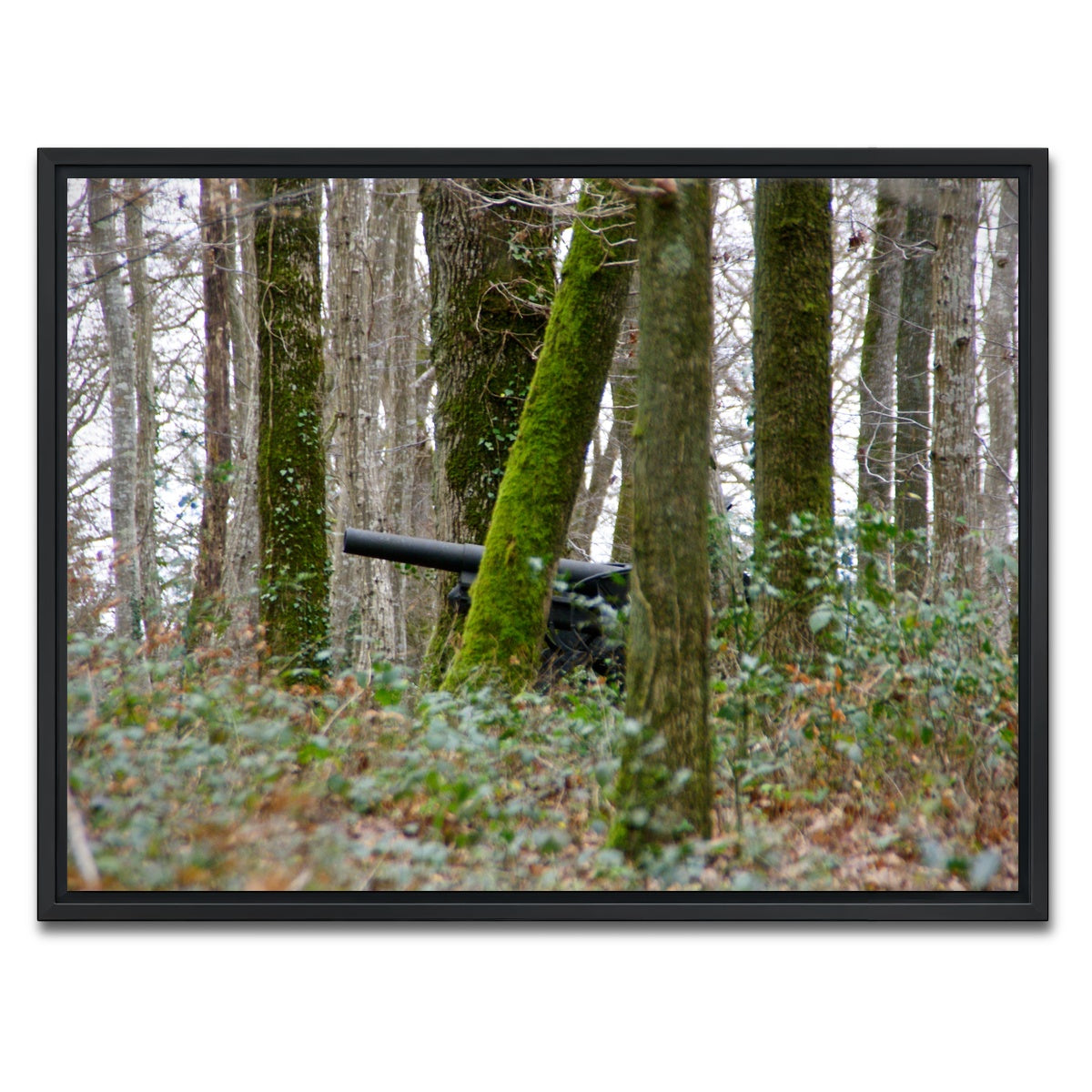 AUTO-MOCKUP WHITE | Belleau Wood | 1 Piece | Black Framed Canvas | group=4x3