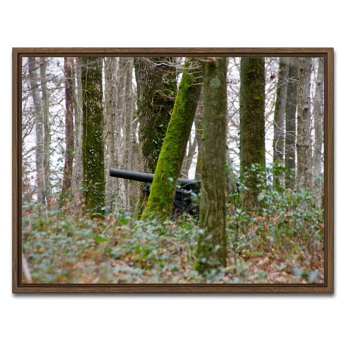 AUTO-MOCKUP WHITE | Belleau Wood | 1 Piece | Walnut Framed Canvas | group=4x3