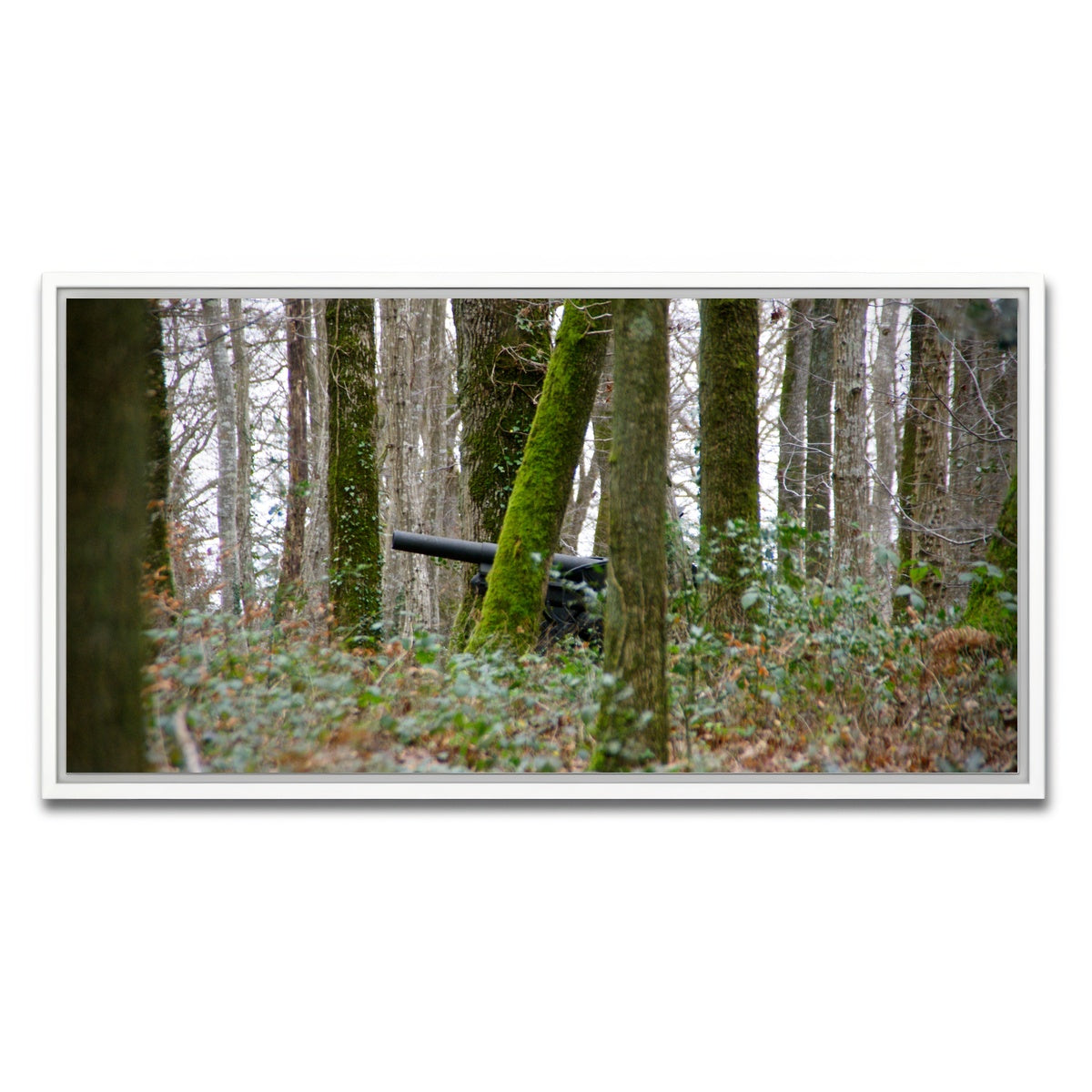 AUTO-MOCKUP WHITE | Belleau Wood | 1 Piece | White Framed Canvas | group=2x1