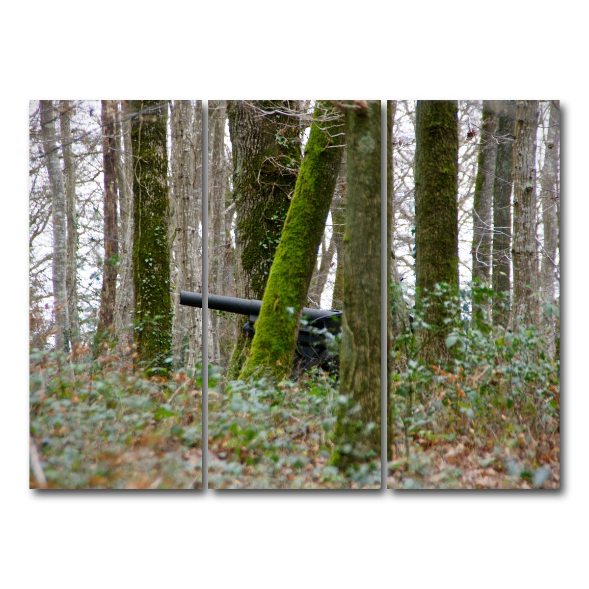 AUTO-MOCKUP WHITE | Belleau Wood | 3 Piece | Gallery Wrap Canvas | group=8x18