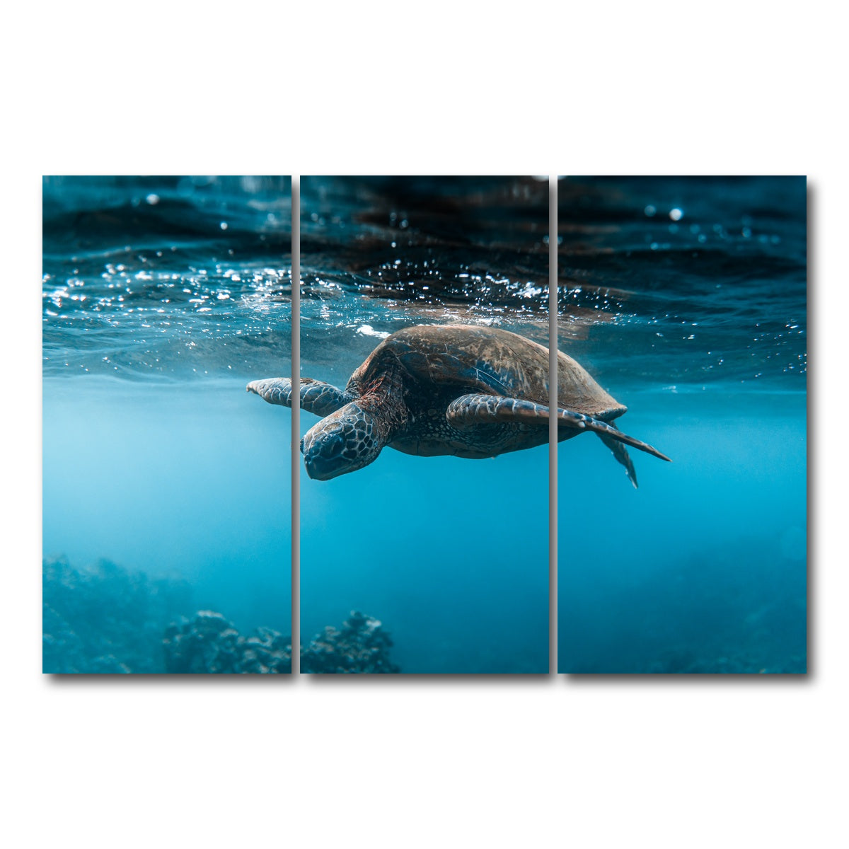 AUTO-MOCKUP WHITE | Below the Surface | 3 Piece | Gallery Wrap Canvas | group=12x24