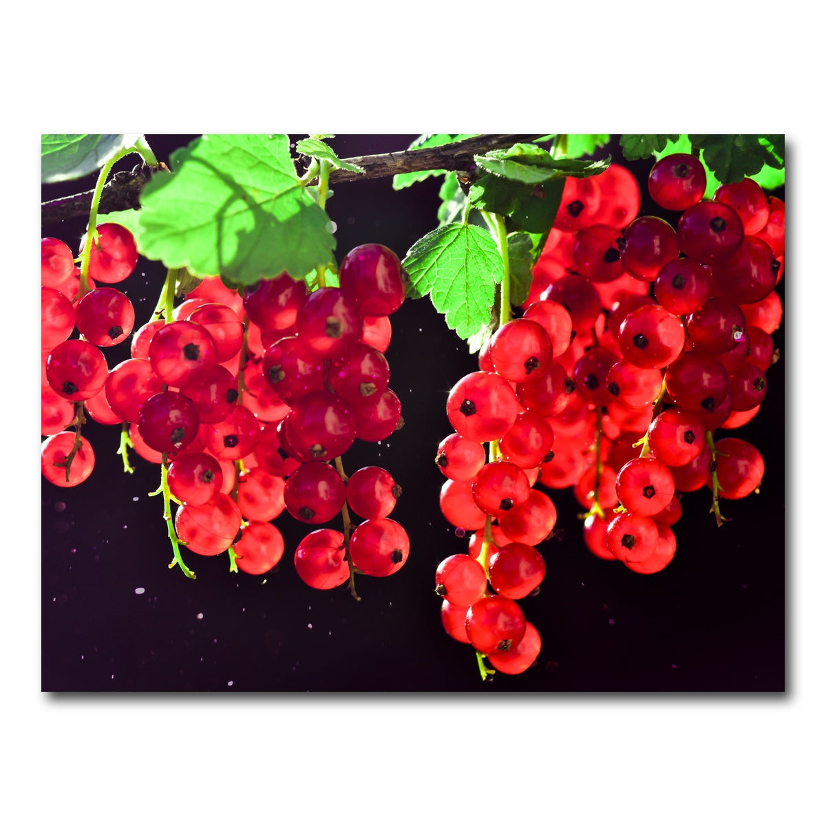 AUTO-MOCKUP WHITE | Berrys | 1 Piece | Gallery Wrap Canvas | group=4x3