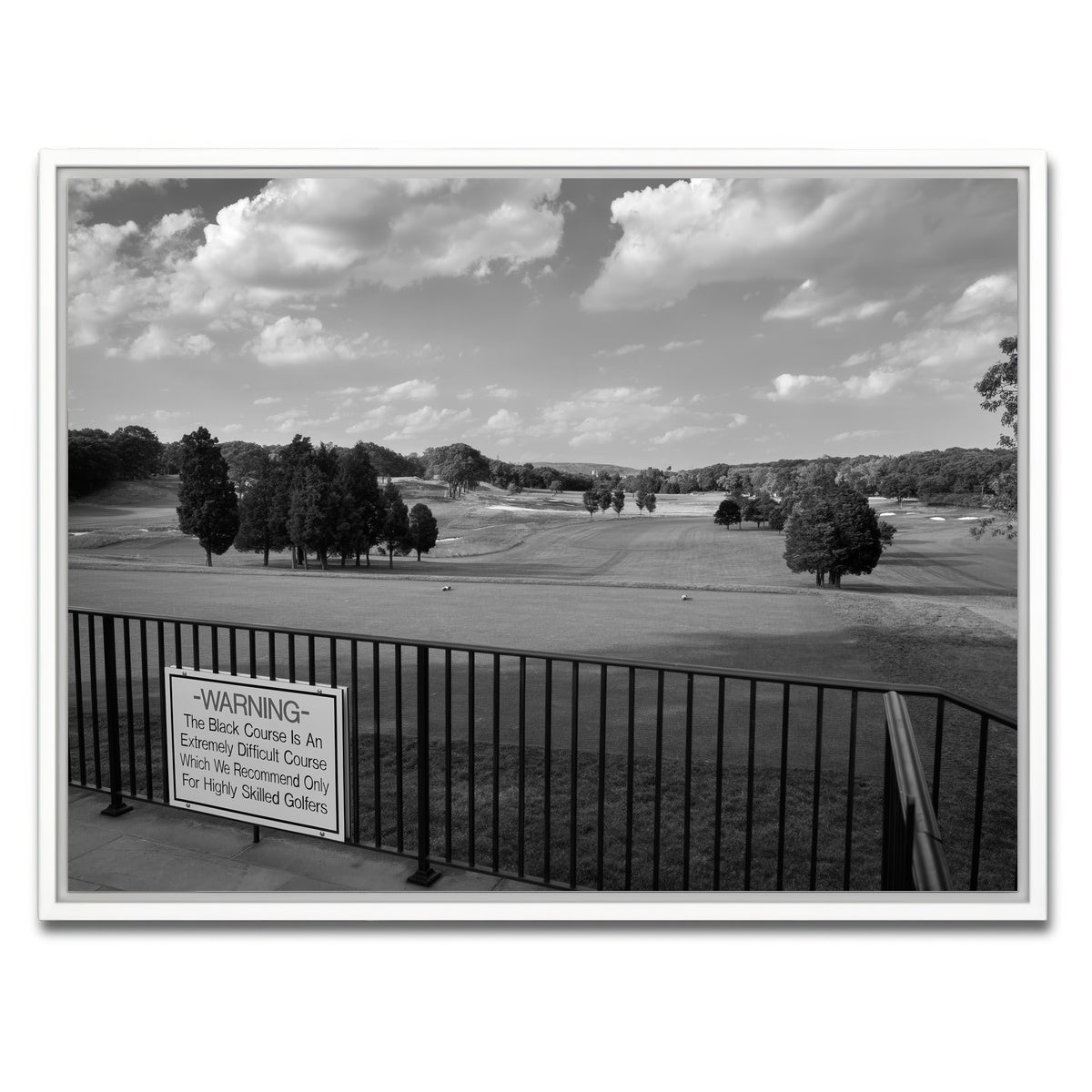 AUTO-MOCKUP WHITE | Bethpage Black Grayscale | 1 Piece | White Framed Canvas | group=4x3