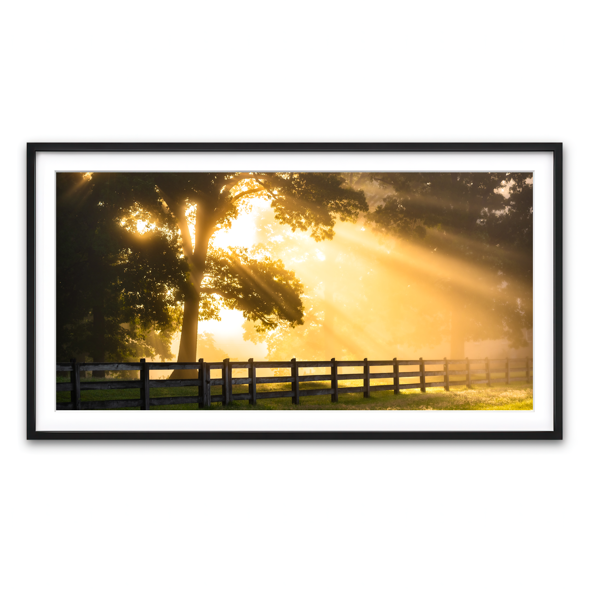 Framed Print 2x1 Black