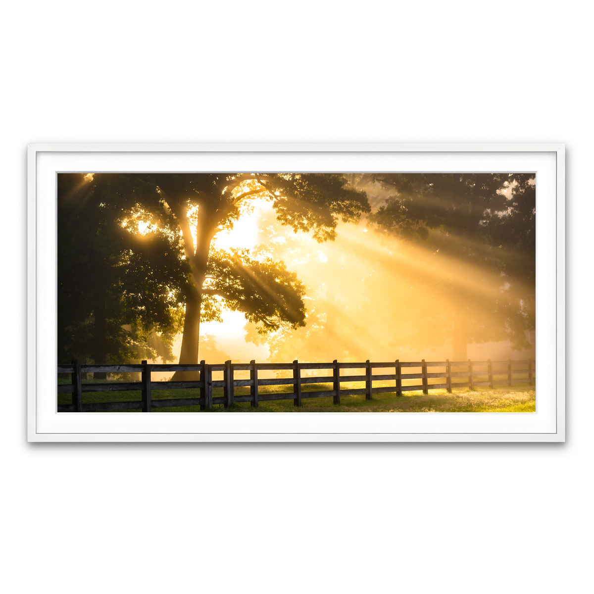 Framed Print 2x1 White