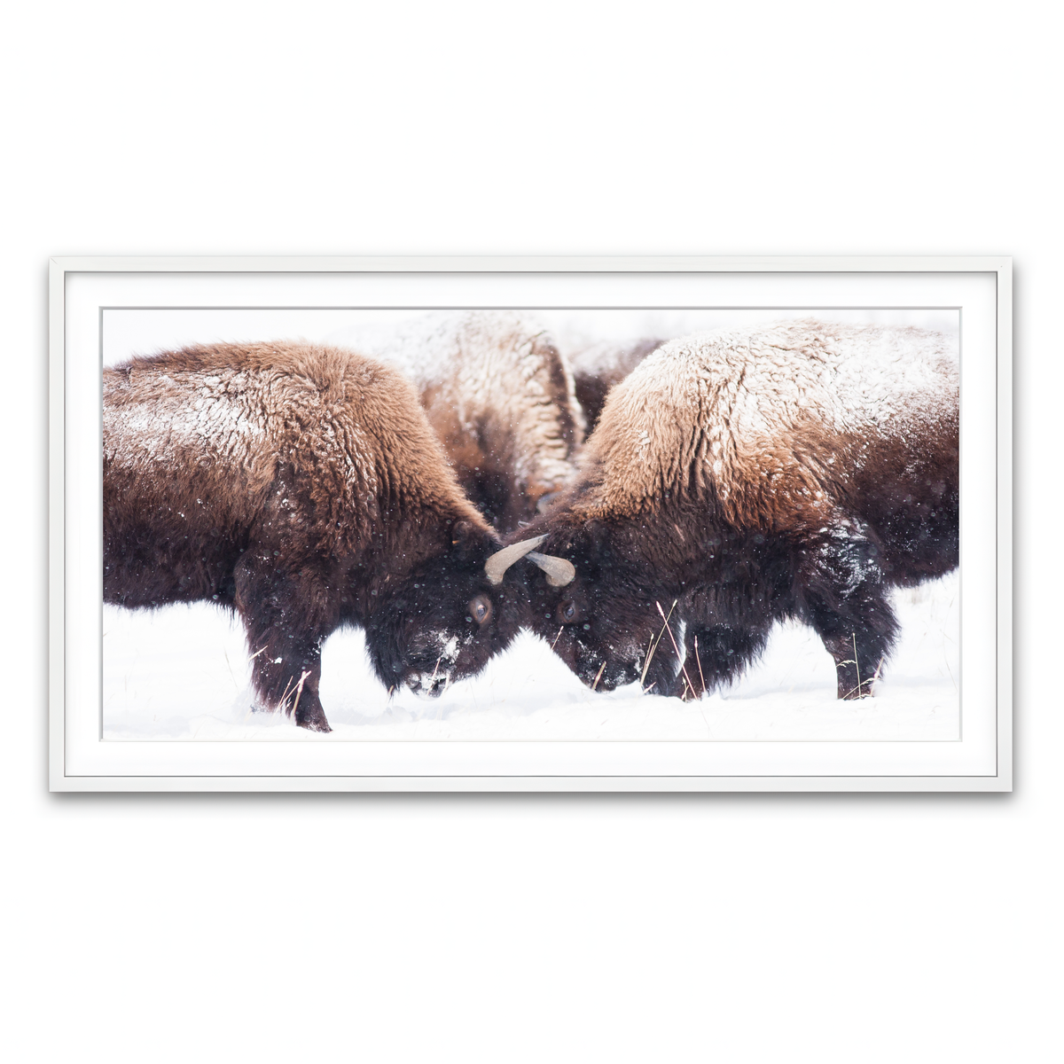 Framed Print 2x1 White