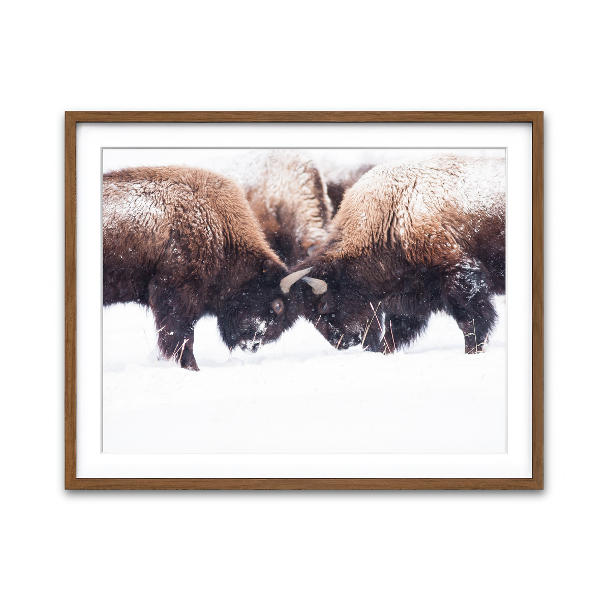 Framed Print 4x3 Walnut