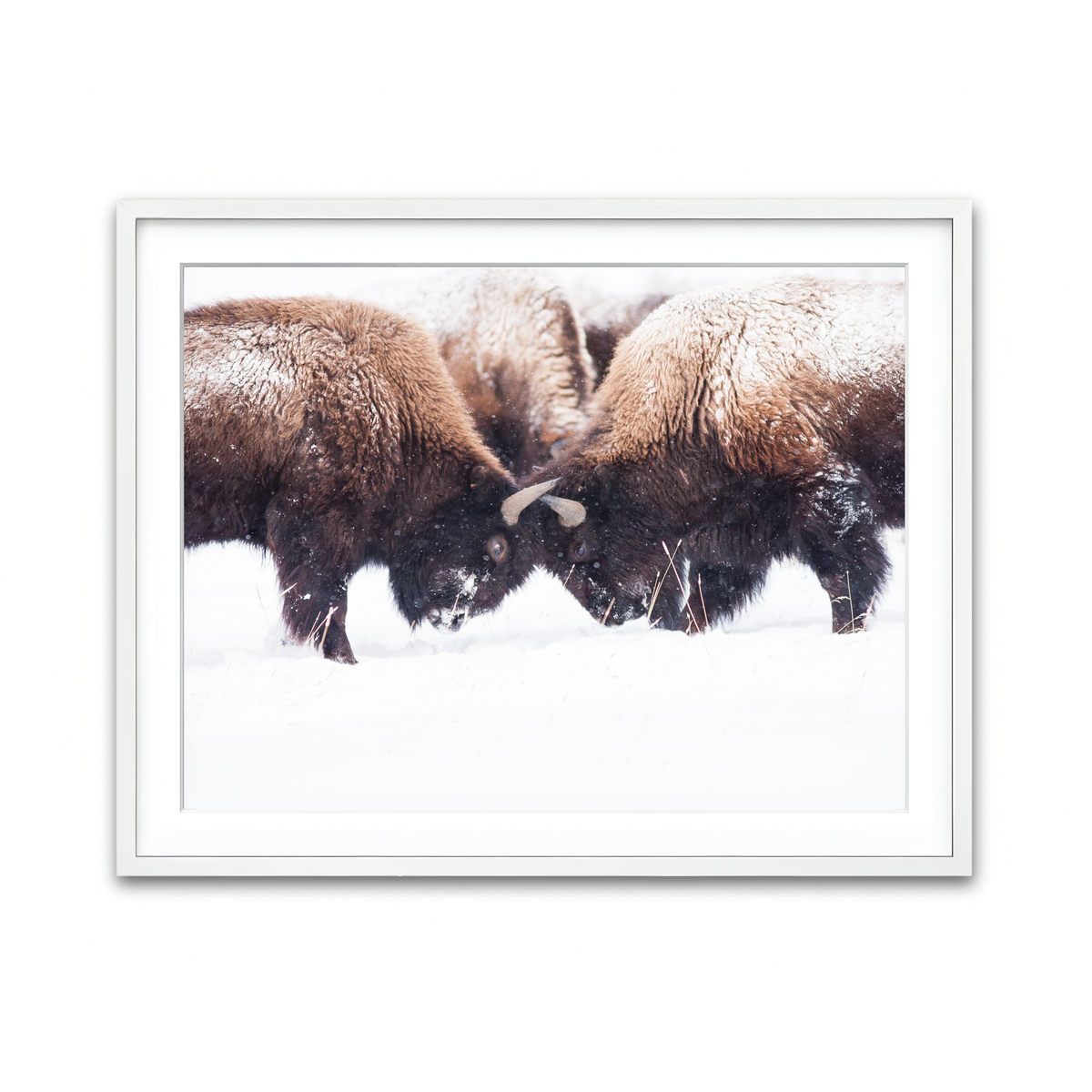 Framed Print 4x3 White
