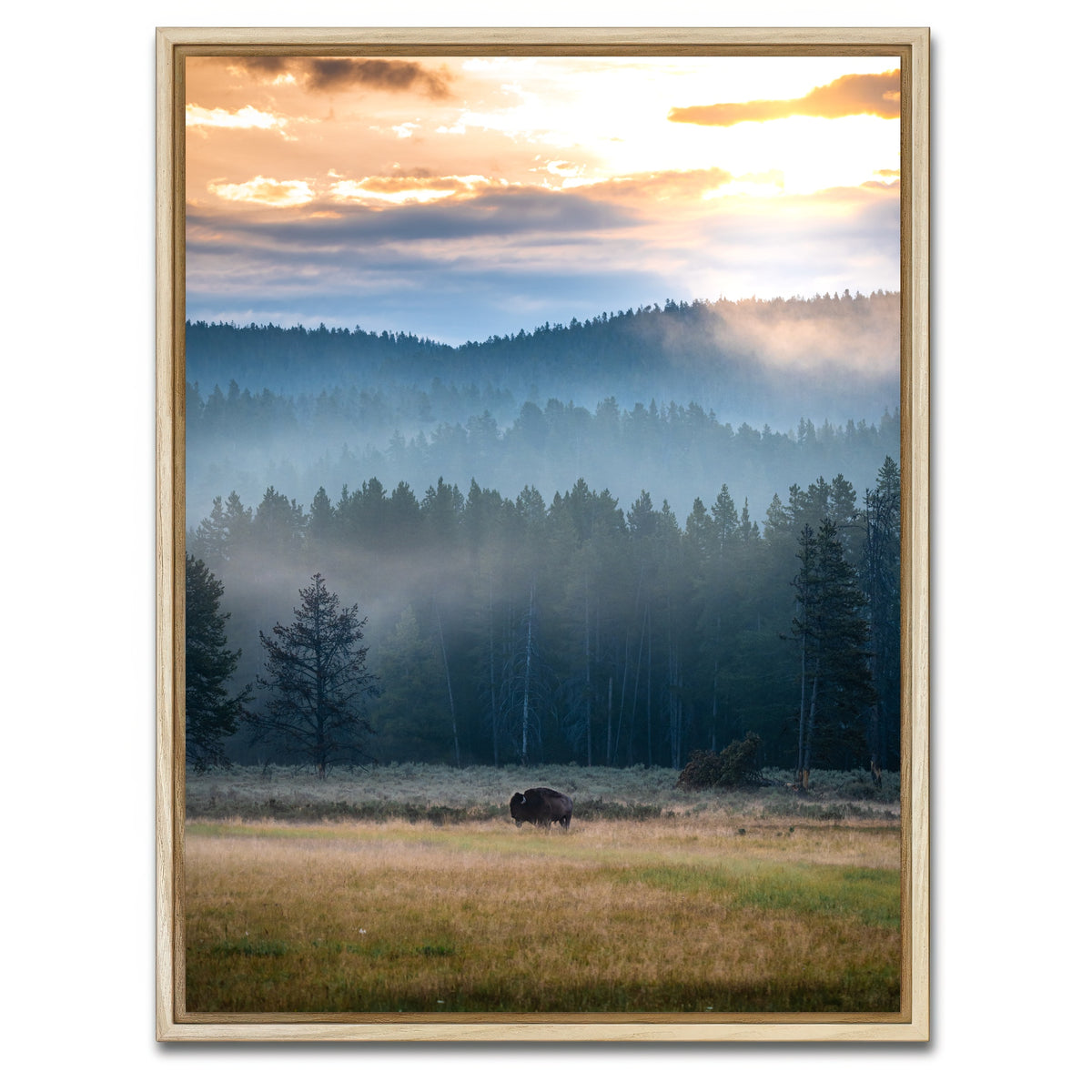 AUTO-MOCKUP WHITE | Buffalo Sunrise | 1 Piece | Natural Framed Canvas | group=3x4