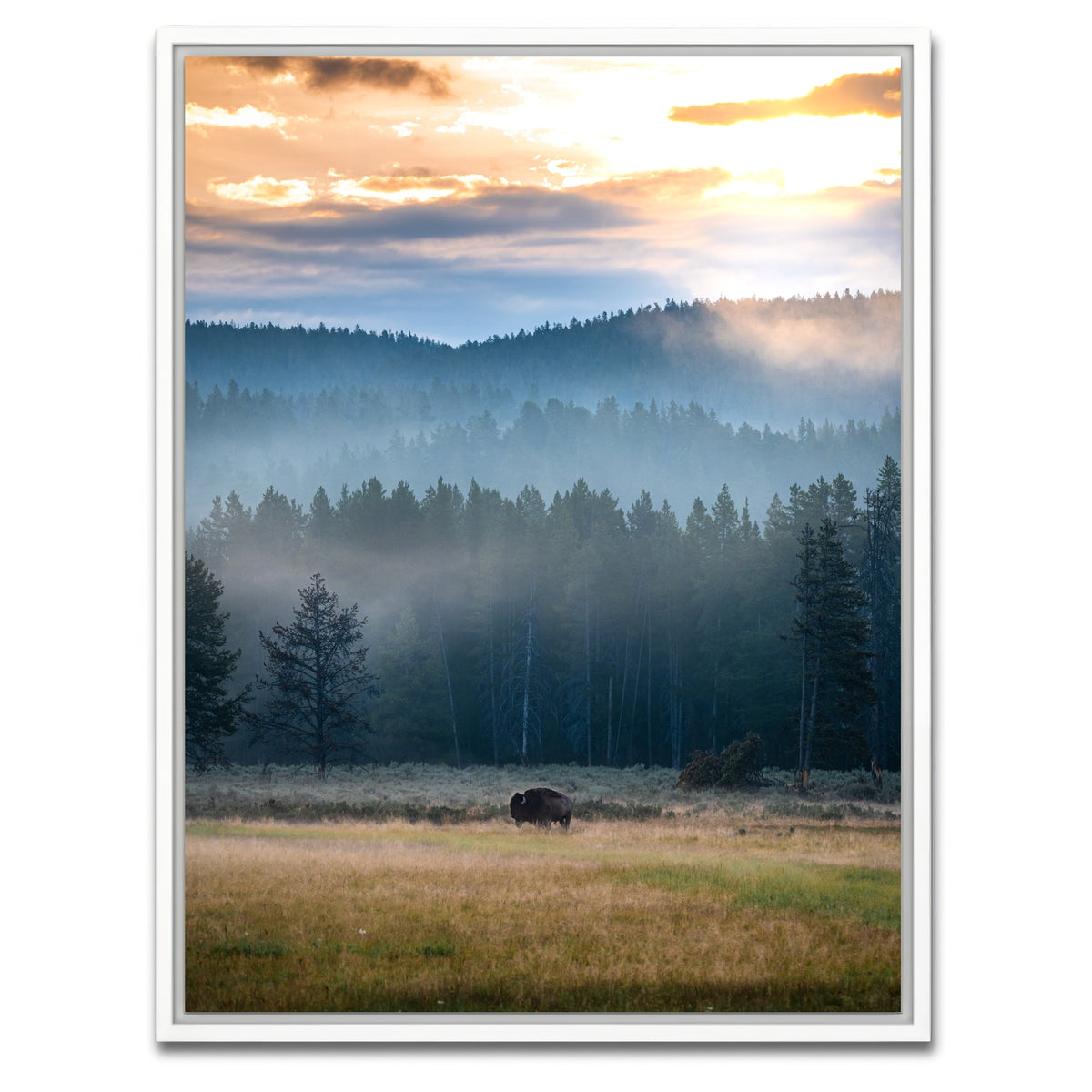 AUTO-MOCKUP WHITE | Buffalo Sunrise | 1 Piece | White Framed Canvas | group=3x4