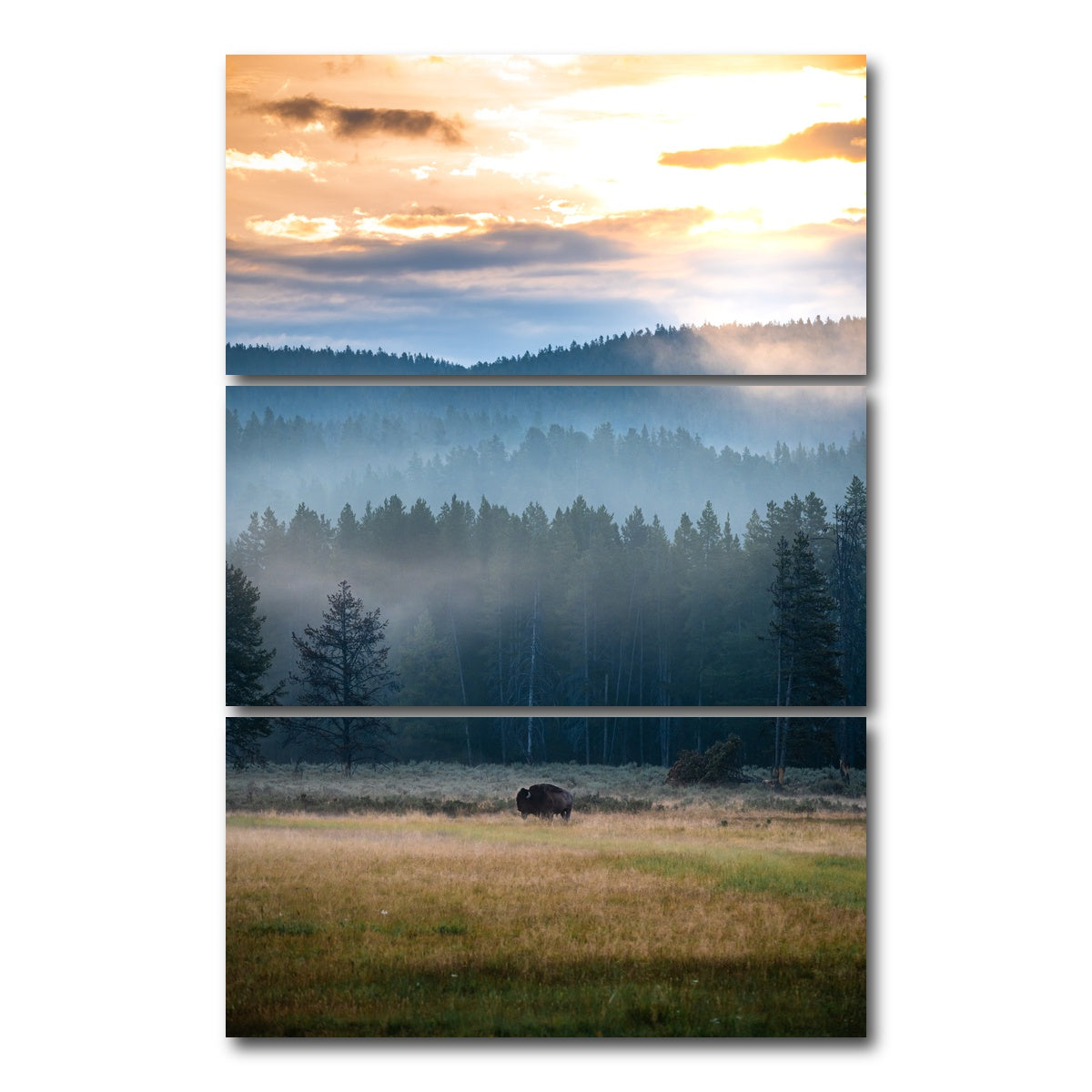 AUTO-MOCKUP WHITE | Buffalo Sunrise | 3 Piece | Gallery Wrap Canvas | group=12x24_stacked