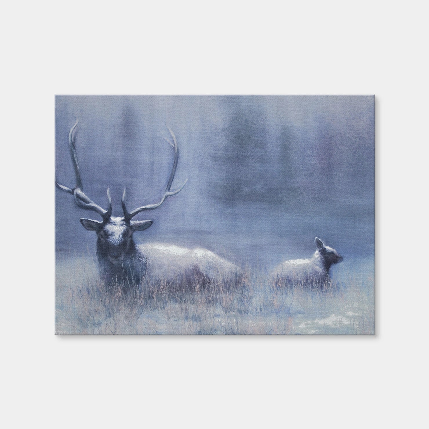 AUTO-MOCKUP WHITE | Bull Elk & Calf Blue | 1 Piece | Gallery Wrap Canvas | group=4x3
