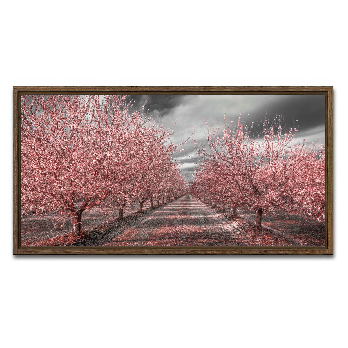 California Pink Blossoms Wall Art