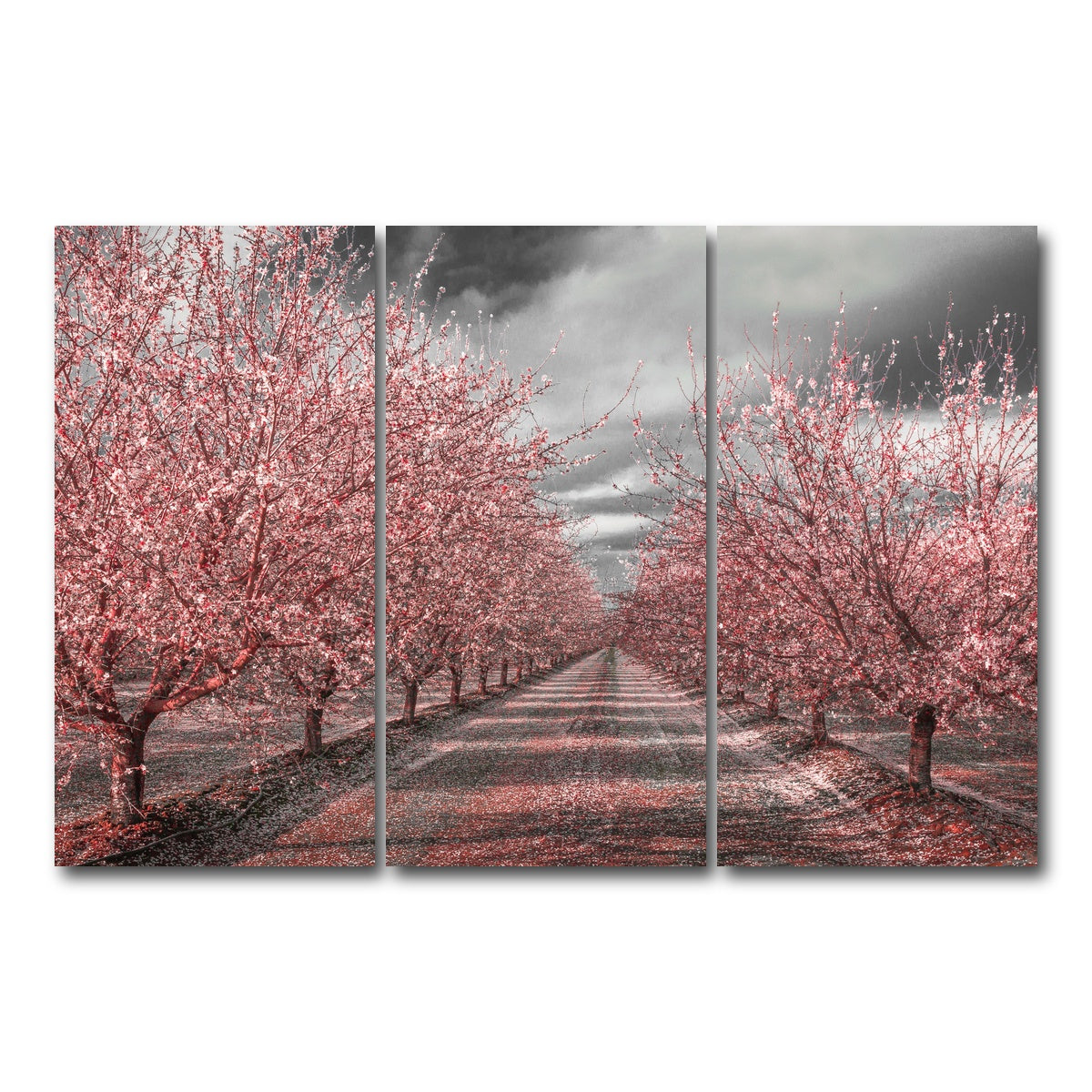 California Pink Blossoms Wall Art