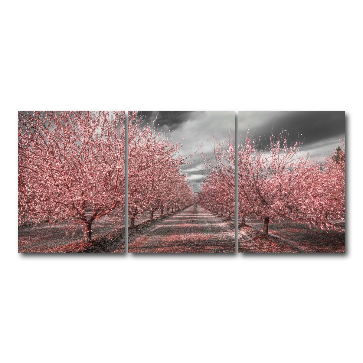 California Pink Blossoms Wall Art