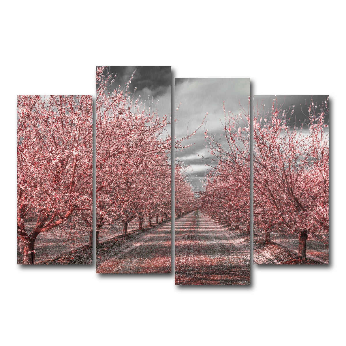 California Pink Blossoms Wall Art