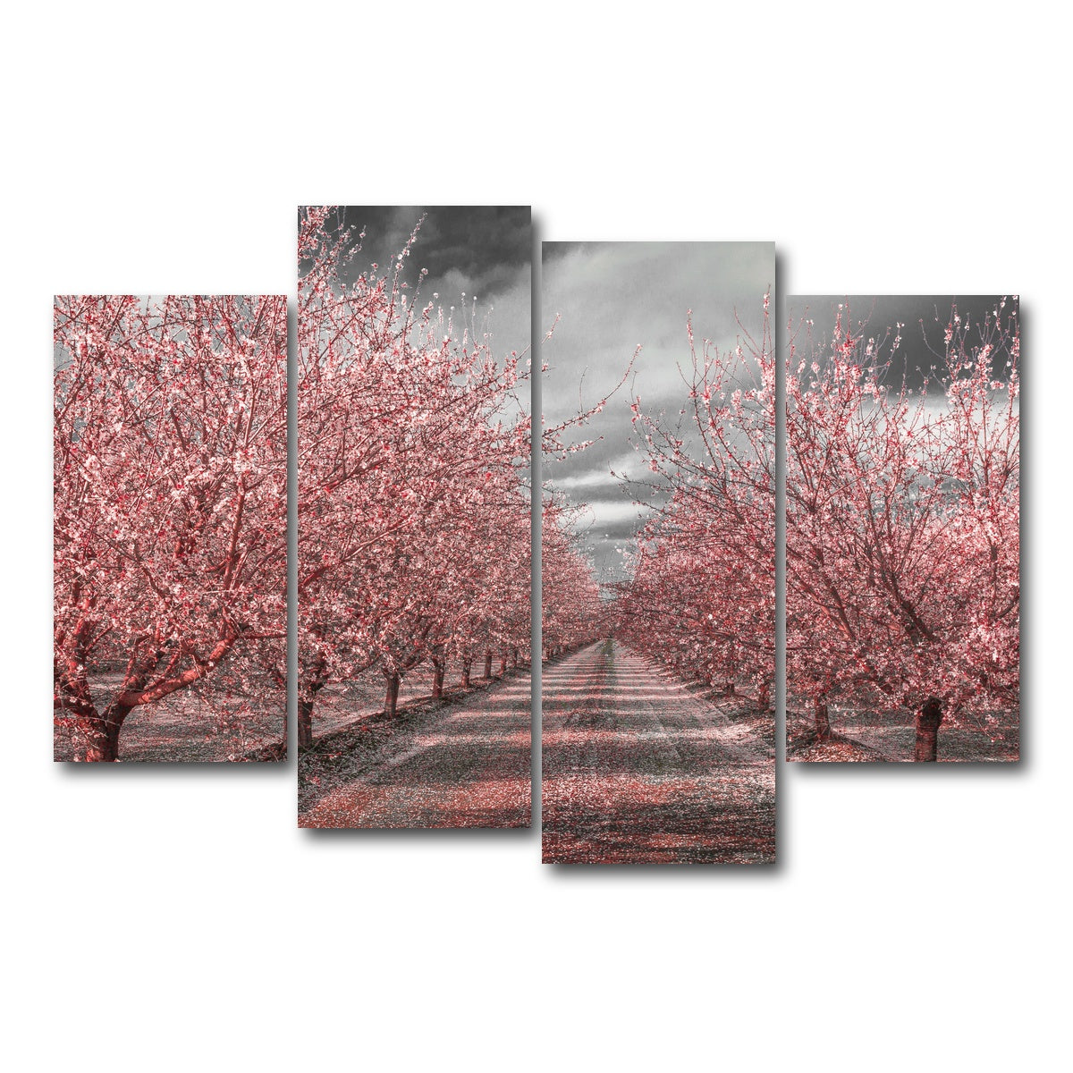 California Pink Blossoms Wall Art