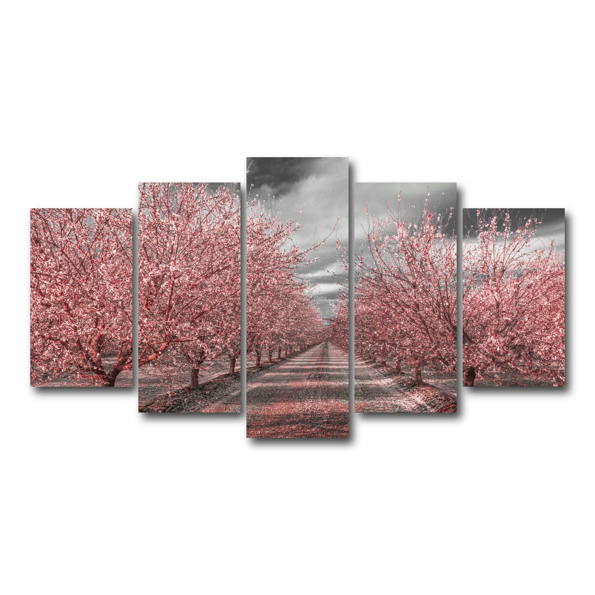 California Pink Blossoms Wall Art