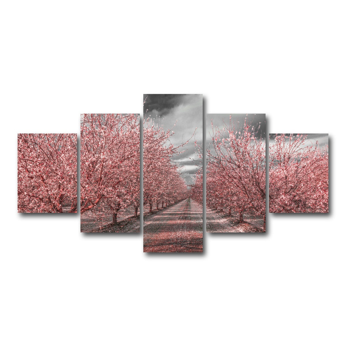 California Pink Blossoms Wall Art