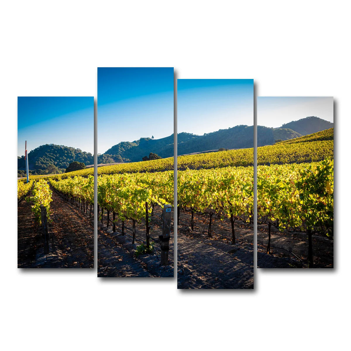 Central California Vineyard Wall Art