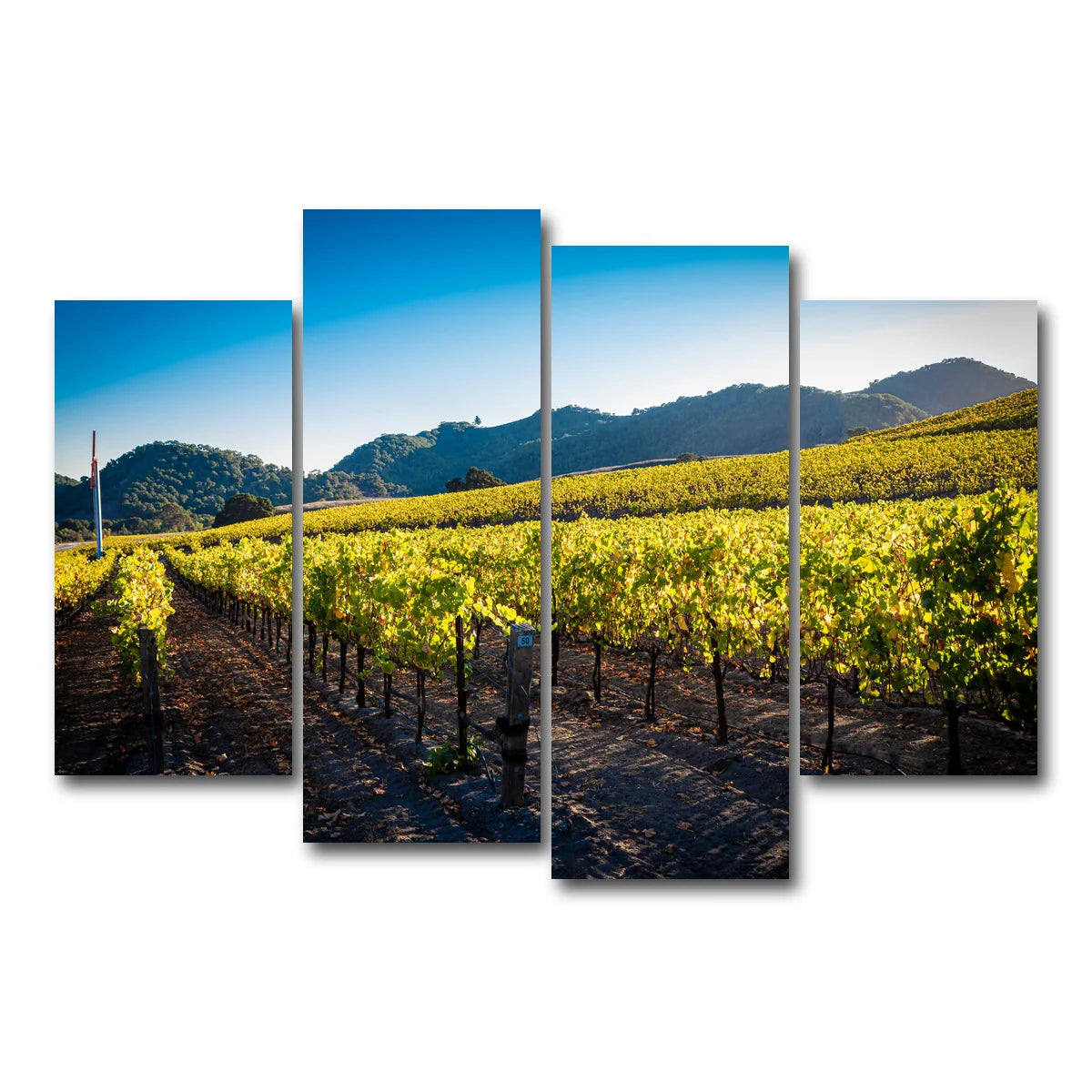 Central California Vineyard Wall Art