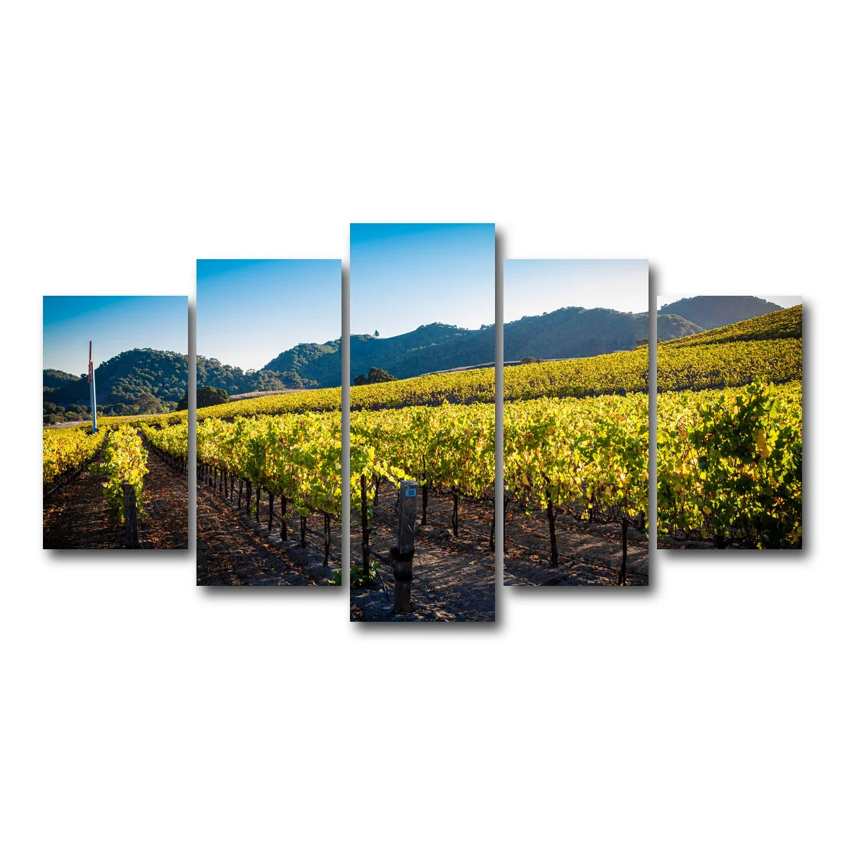 Central California Vineyard Wall Art