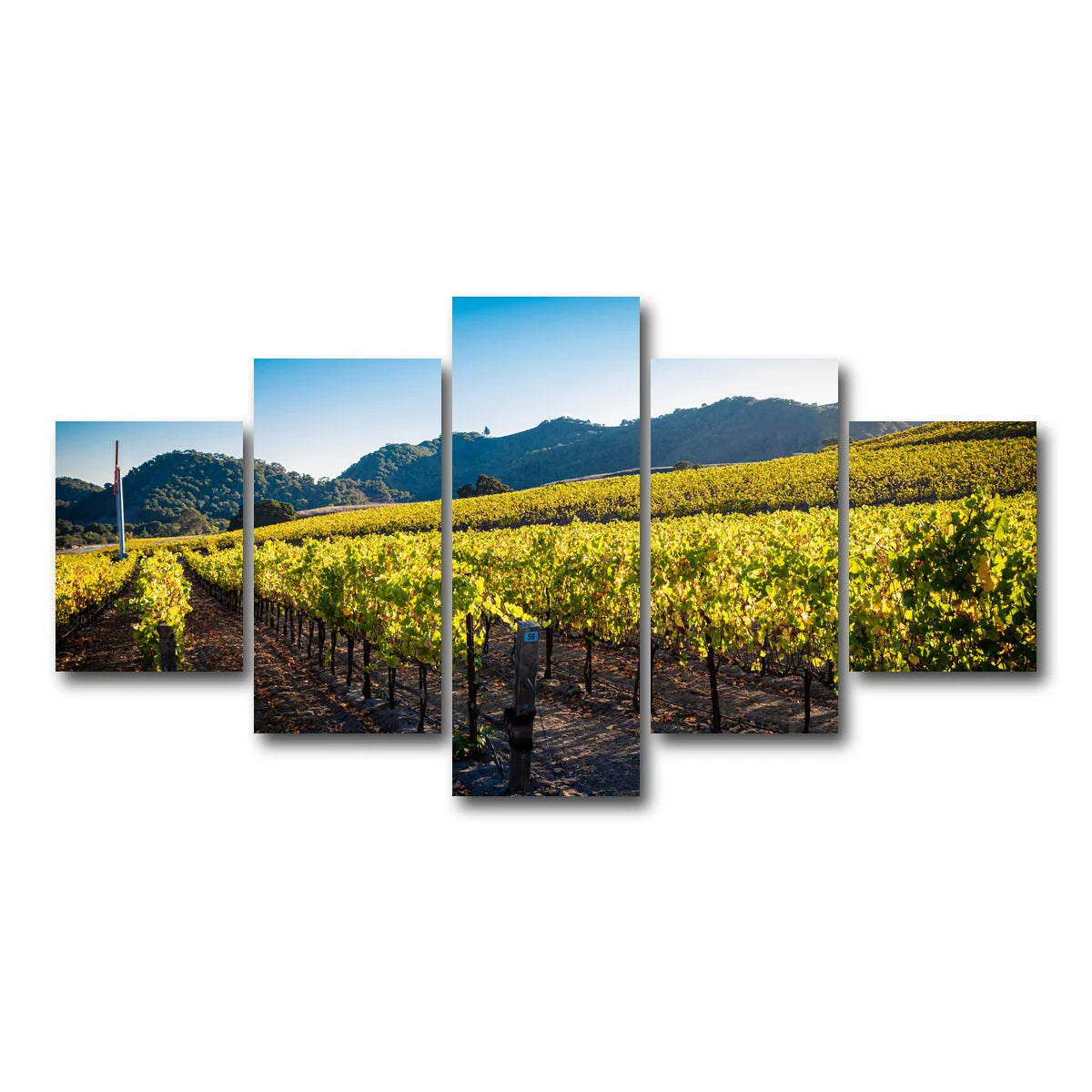 Central California Vineyard Wall Art