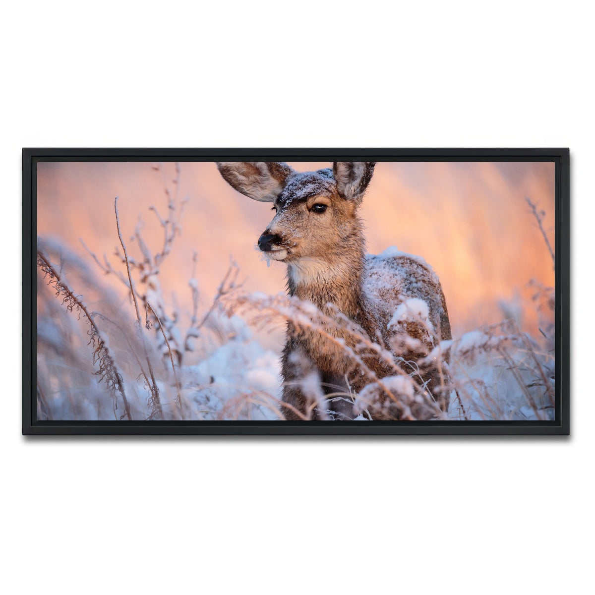 AUTO-MOCKUP WHITE | Colorado Doe | 1 Piece | Black Framed Canvas | group=2x1