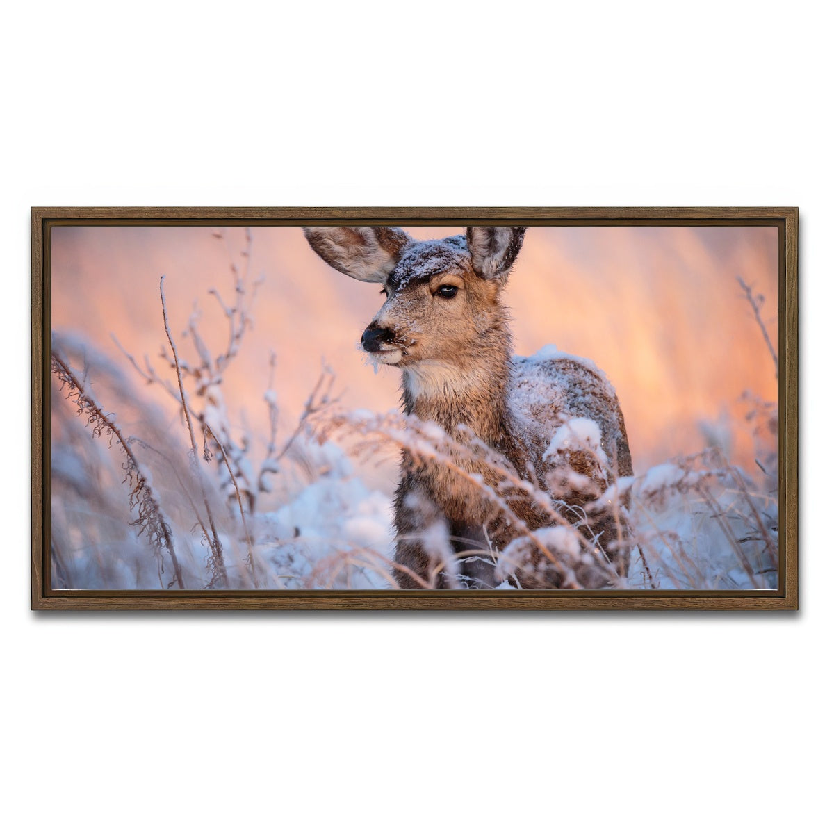 AUTO-MOCKUP WHITE | Colorado Doe | 1 Piece | Walnut Framed Canvas | group=2x1